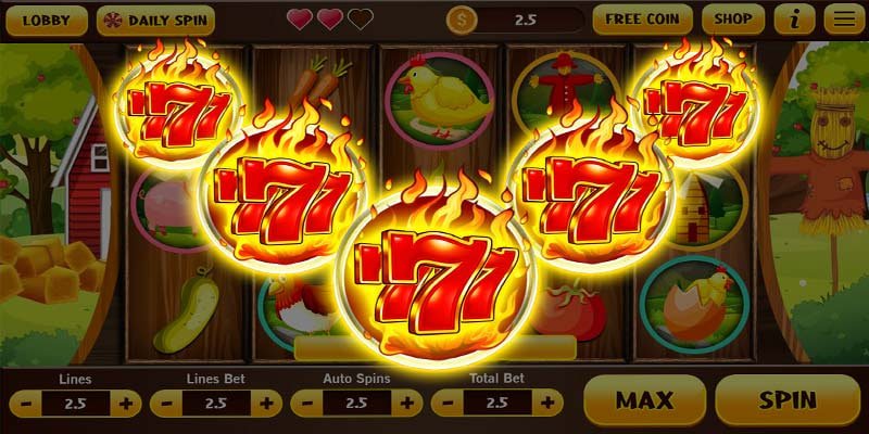Sportsbook winhighbet